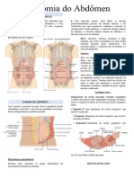 Anatomia Do Abdômen