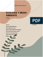 Ensayo Ecologia