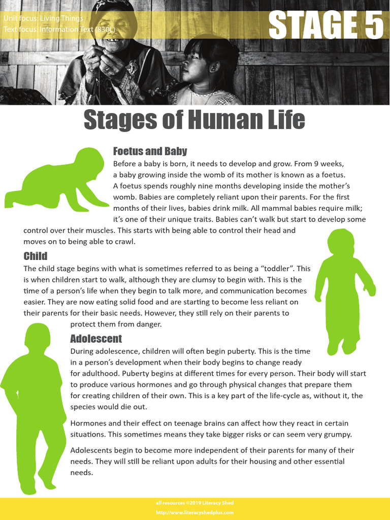 Stages of Human Life Cycle Explained | PDF | Adolescence | Adults