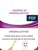 Theories of Mineralizatio