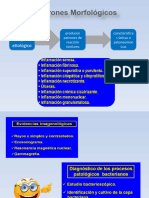 Patrones Morfologicos