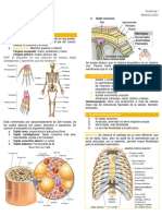 Generalidades de Osteología