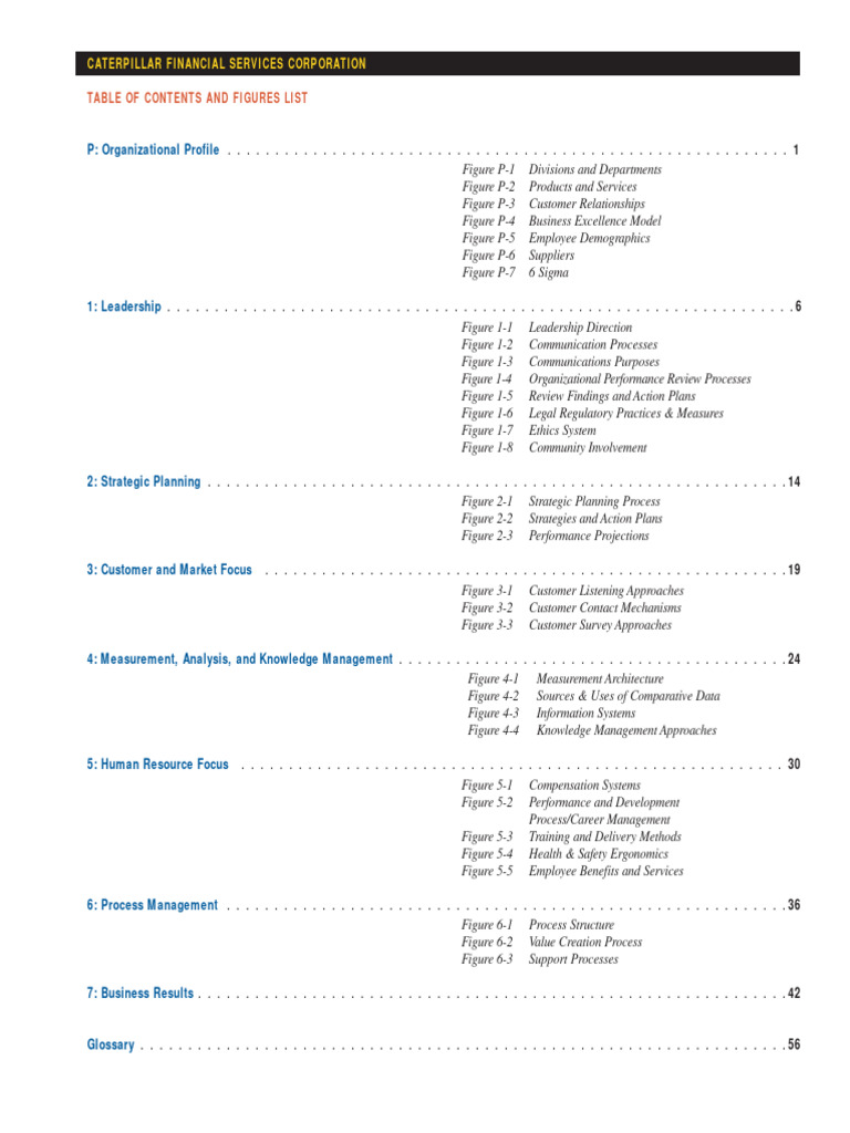Caterpillar Application Summary1 PDF Business Economies
