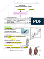 TP 3: Les Vers (, ,) Plathelminthes Némathelminthes Annélides