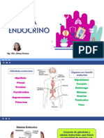 Sistema Endocrino