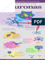 Infografia Neuronas Ilustrado Morado - 20231005 - 165341 - 0000