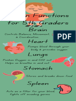 Organ Anatomy For 5th Graders