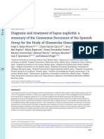 Diagnosis and Treatment of Lupus Nephritis: A Summary of The Consensus Document of The Spanish Group For The Study of Glomerular Diseases (GLOSEN)