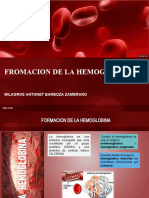 Formacion de La Hemoglobina (Antonet)