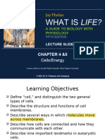 Lectureslides Chapters 4&5 Edited