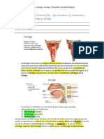 7 Clase Apuntes (1 Parte) ORL (Comprimido) - Eje Temático 12, Anatomía y Fisiología de La Faringe y Laringe