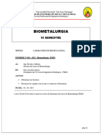 informe_2_biometalurgia