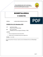 Informe 4 Biometalurgia