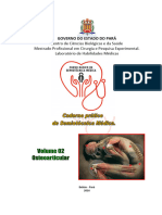 Exame Físico - Osteoarticular