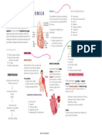 Cardiopatía Isquémica: Fisiopatologia