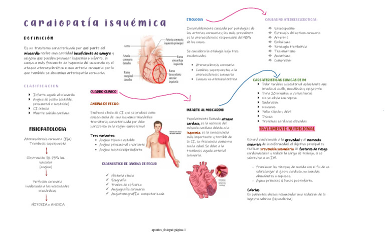 Fisiopatología de la Cardiopatía Isquémica | PDF | Infarto de miocardio ...