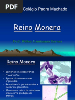 reino_monera