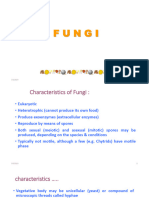 4 Fungi