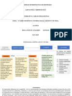 Cuadro Sinoptico - Criminologia Control Social, Delito y Victima