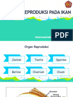 Kuliah 14 Sistem Reproduksi Pada Ikan