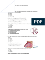 Exercise Respiratory System