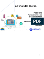 PCBD 313 Trabajo Final
