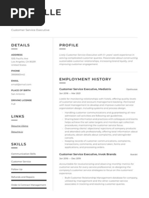 Customer Service Executive Resume