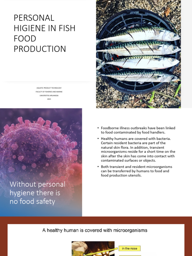 Higiene Fish Processing PDF Hygiene Foodborne Illness