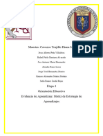 4.1 - Matriz de Estrategias de Aprendizaje