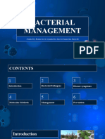 Bact Management1