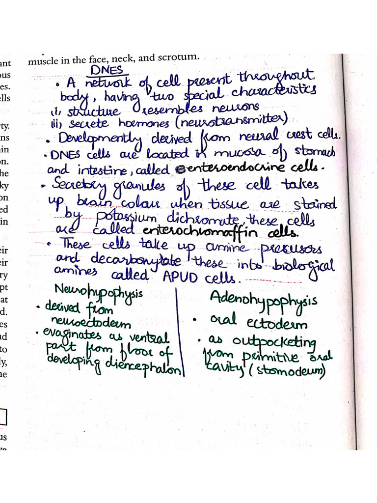 Endocrine Histology by ABEEHA RASHID | PDF