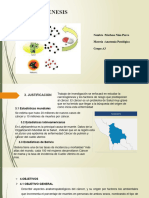 Carciogenesis PDF