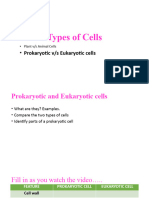 Eukaryotic Prokaryotic Cells