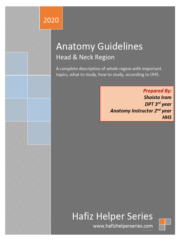 Guidelines About Head and Neck Regio1-1 | PDF | Common Carotid Artery ...