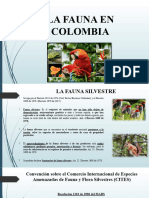 08la Fauna en Colombia 8