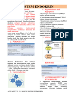 Exocrine and EndocrinE