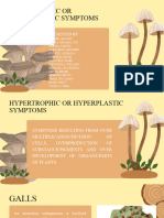 Hypertrophic Hyperplastic