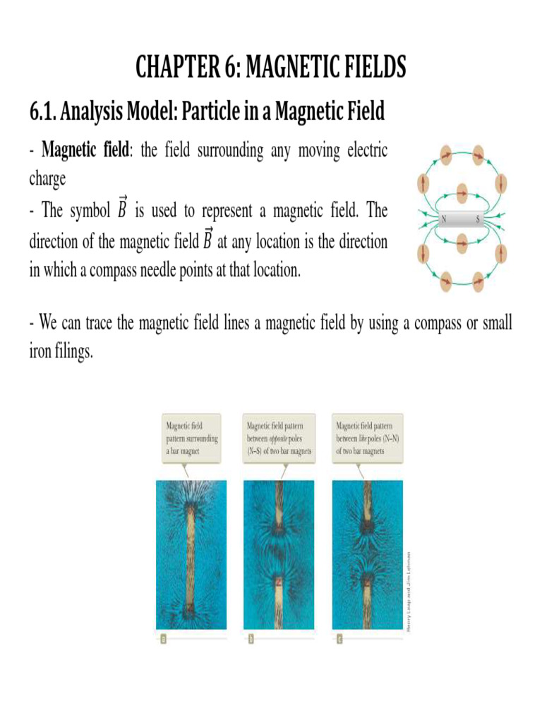 Understanding Magnetic Fields and Forces | PDF | Magnetic Field | Force