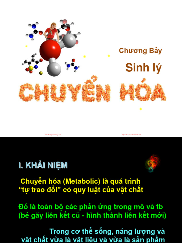 sinh-li-dinh-duong-vu-bich-ngoc-21-sl-chuyen-hoa-vs-201