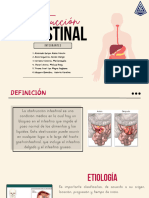 Obstrucción Intestinal