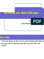 Dinh Type Phan Tu 2022