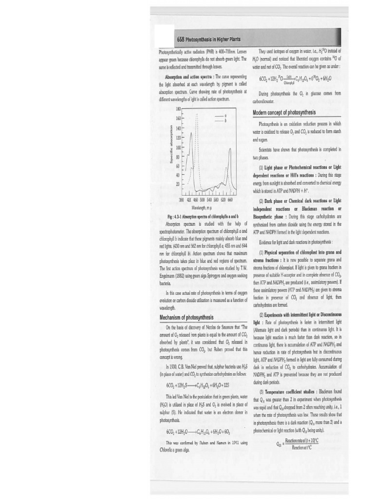 Introduction To Special Relativity Pdf