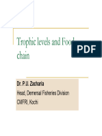 Trophic Levels and Food Chain