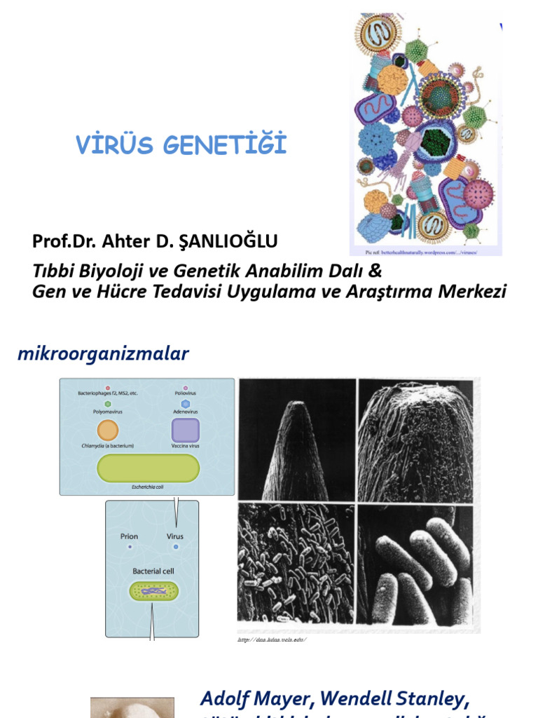 Viral Genetics 2023 2024 Pdf