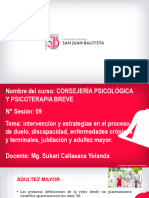 9 Intervención y Estrategias en El Proceso de Duelo, Adultez Mayor.