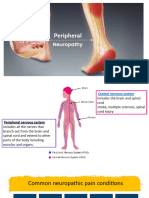 Peripheral Neuropathy Fall 2023