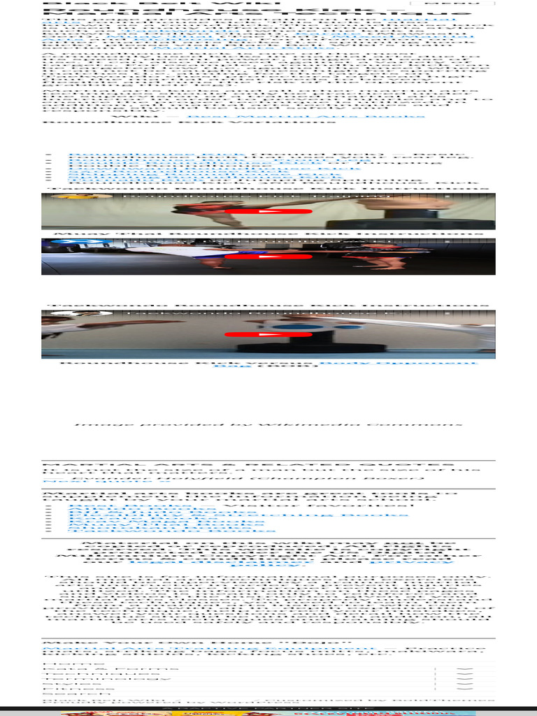 Roundhouse Kick - Martial Arts Technique - Black | PDF | Combat | East ...