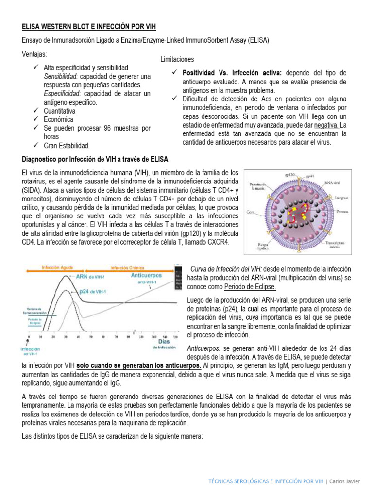 Infeccion Por Vih Elisa Western Blot PDF VIH Elisa