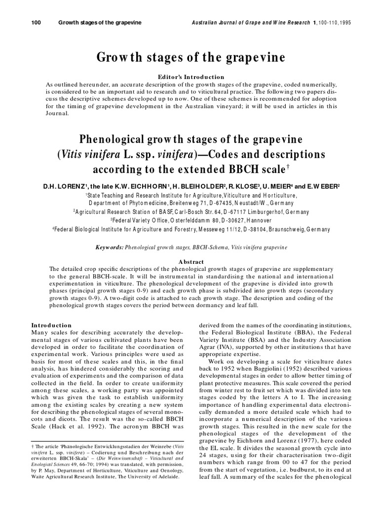 Grape Vine Growth Stages Explained | PDF | Vitis | Horticulture