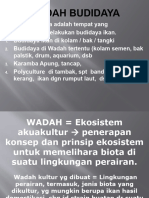 Presentation Wadah Budidaya